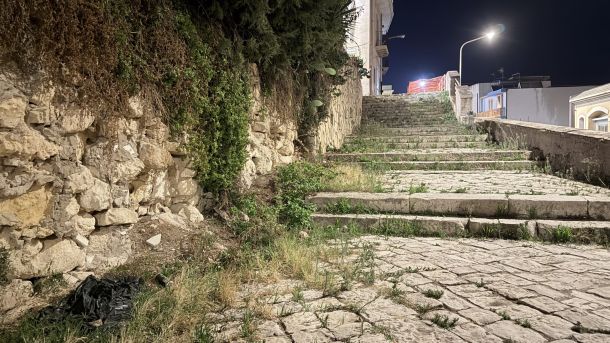 Le scale di via Colombo sommerse dalle erbacce: “Siamo costretti a tenere le porte chiuse”