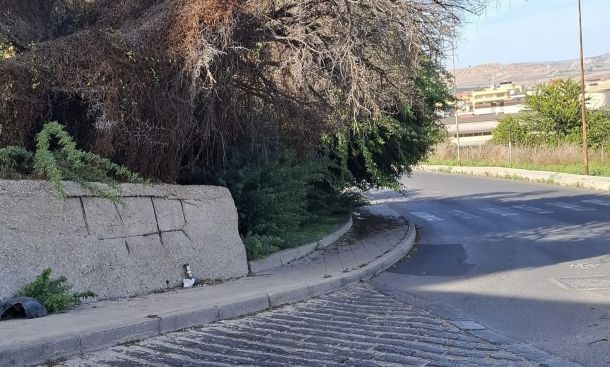 Gela, sterpaglie alte all’incrocio tra via Danimarca e via Butera: “Non si vedono le auto, è pericoloso”