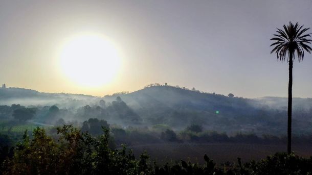 Niscemi, il bosco ancora in fiamme. Il sindaco: «Colpito da tanta crudeltà, è una ferita enorme»