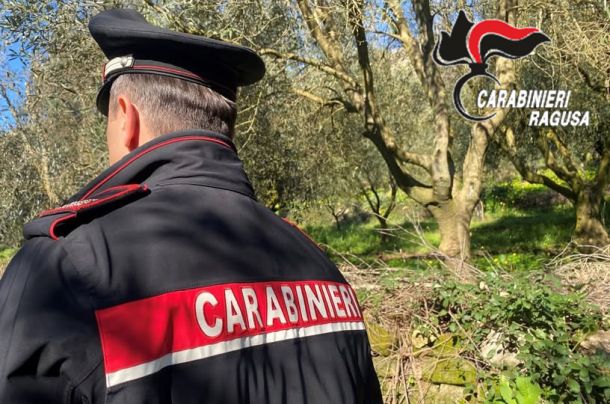 Sorpresi a rubare olive da un terreno di proprietà del Comune di Comiso: denunciati