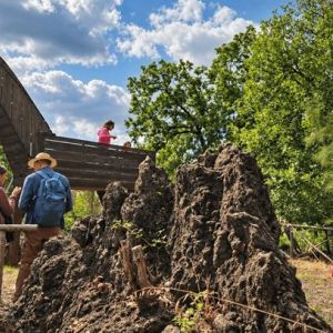 Zafferana Etnea, buona la prima: al Parco dei Miti il viaggio di Ulisse conquista grandi e piccoli