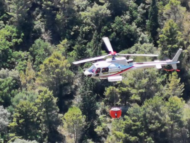 Roghi, Corpo Forestale ne rileva 3.757 nell’isola dal 15 maggio ad oggi